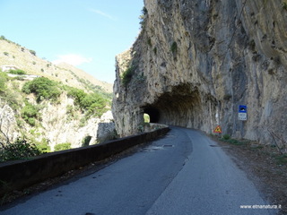 stoleone-09-08-2020 10